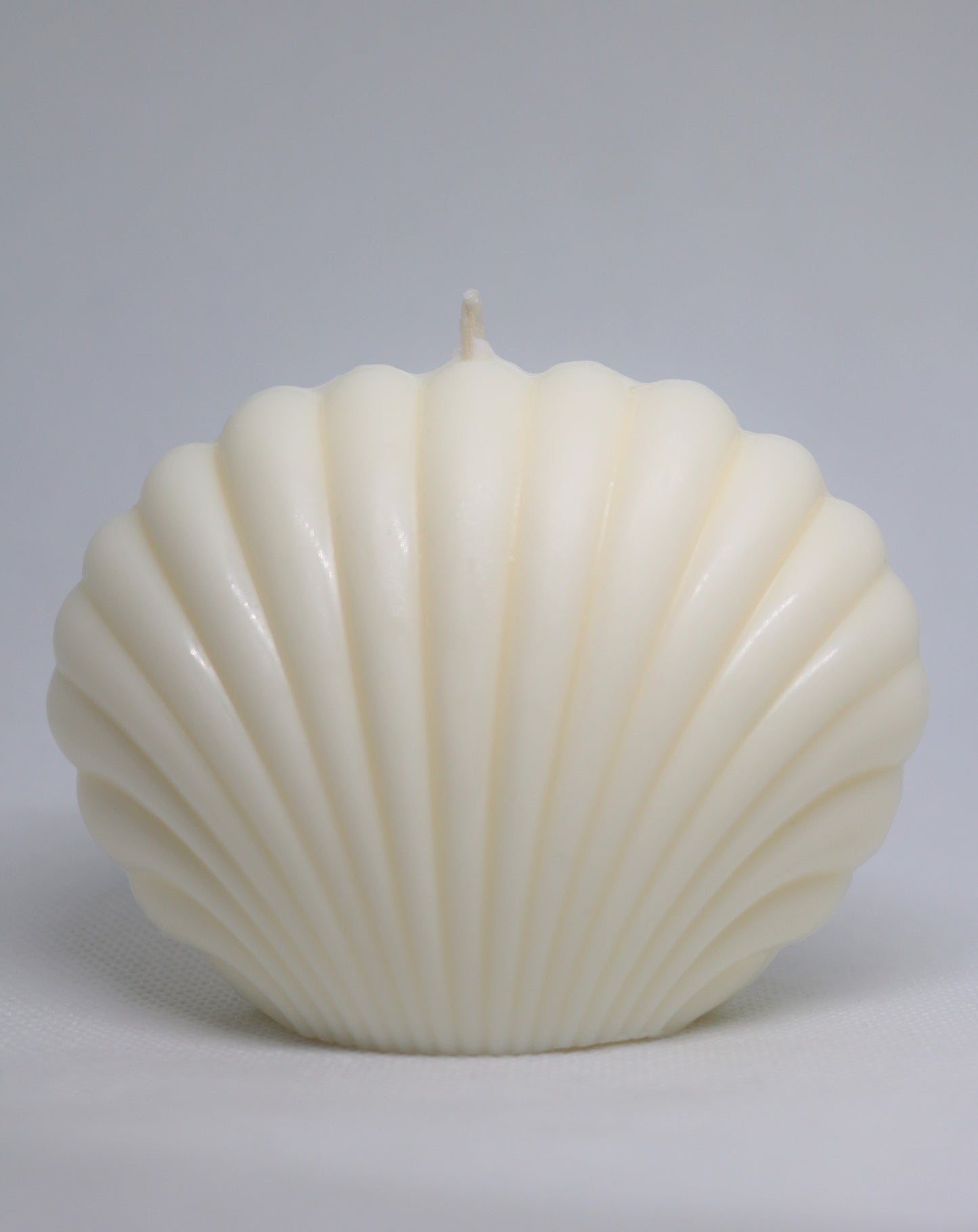 Shy Clam